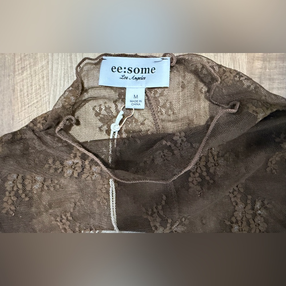 Eesome Sheer Brown Lace Long Sleeve Blouse - Picture 2 of 3